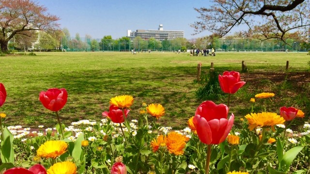 西東京エリアの人気スポットをピックアップ