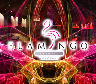 フラミンゴ(flamingo)