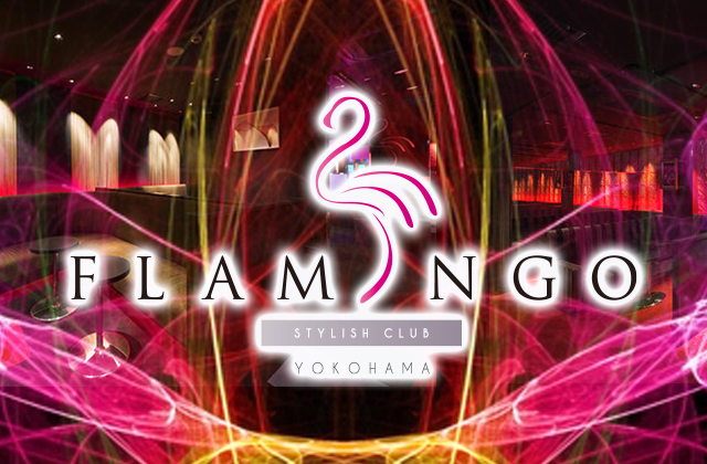 フラミンゴ(flamingo)